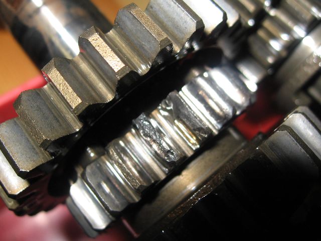 Bild