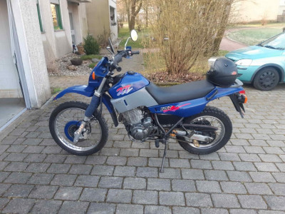 xt.jpg