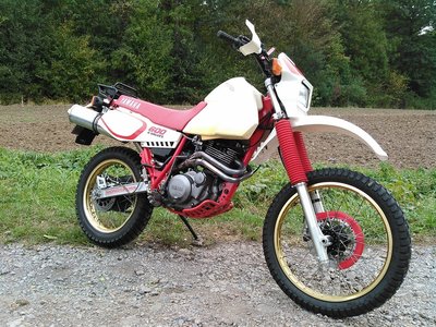 KIMG0019 - Kopie.jpg