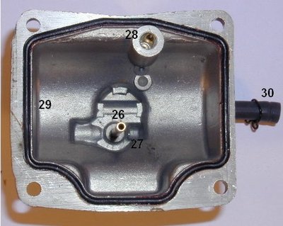 prim_schwimmer_assyaskljdfasfdhasdhf (1).jpg