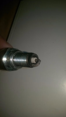 IMAG1394.jpg