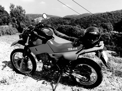 xt_bearbeitet-1.jpg