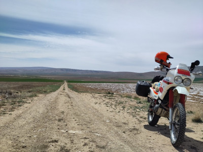 20230416_1234327049378404387611346_large.jpg