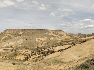 20230417_12353293842368811659367_large.jpg