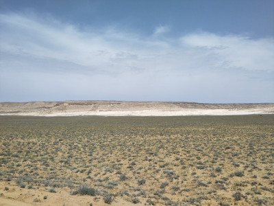 20230527_1447101762663194777121988_large.jpg