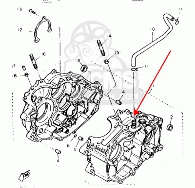 xt600- crankcase.png