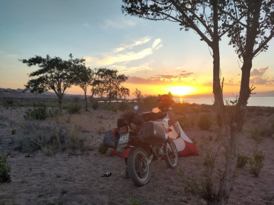 20230724_2010201210294042420785661_large.jpg