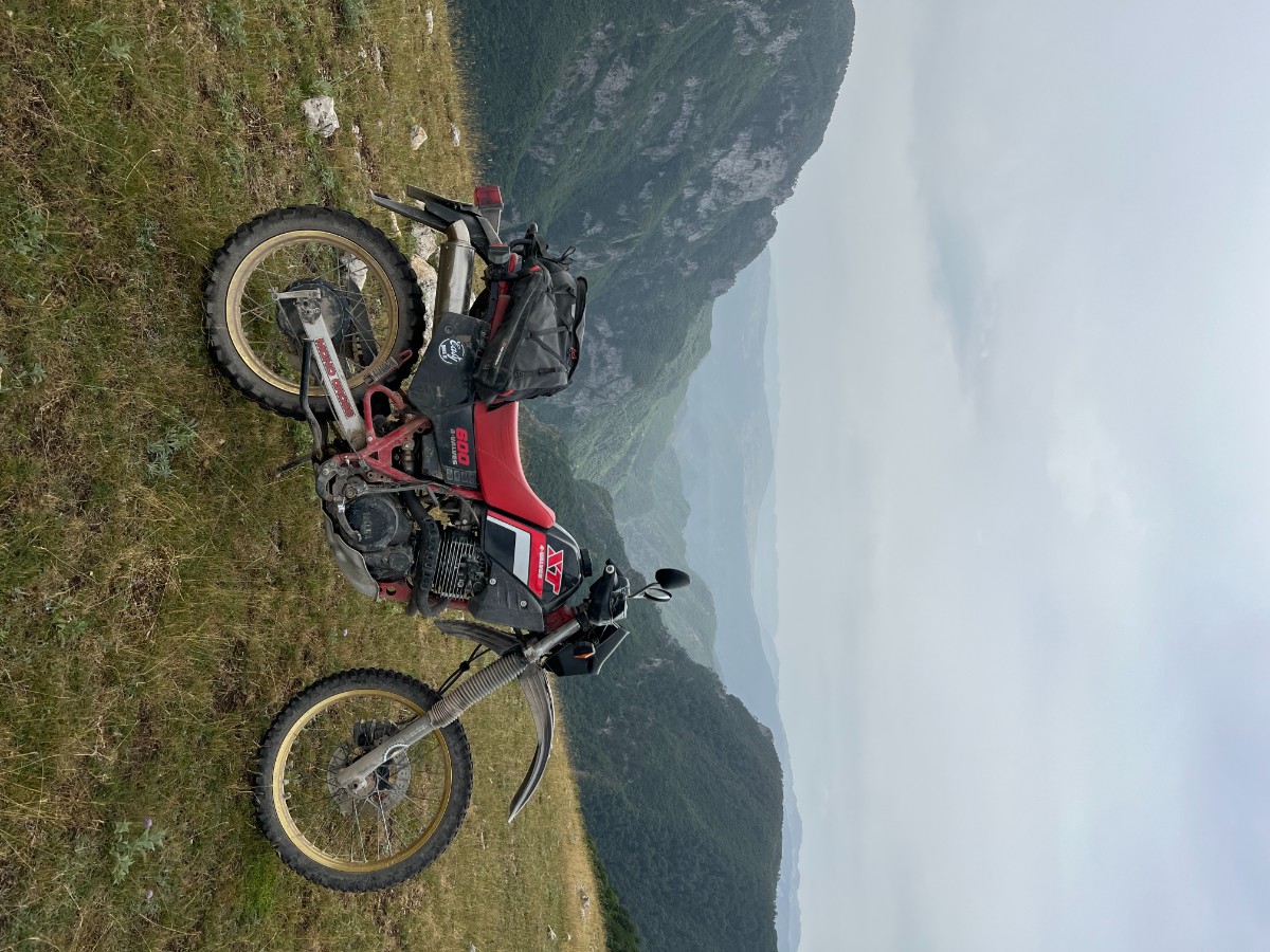IMG_6080.jpeg