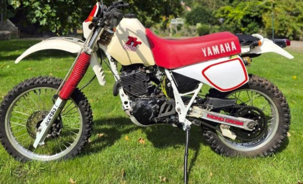 tt600 3.jpg
