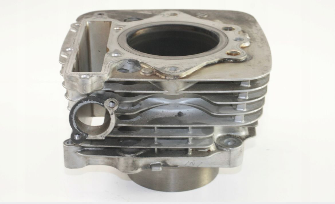 WhatsApp Image 2025-10-22 at 13.58.29.jpeg