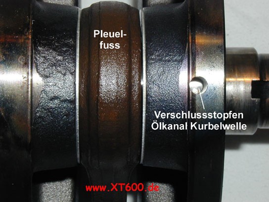 pleuellager.jpg