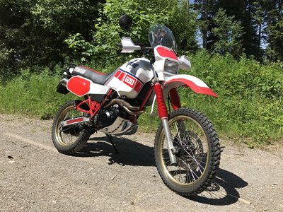 IMG_5208_klein.jpg
